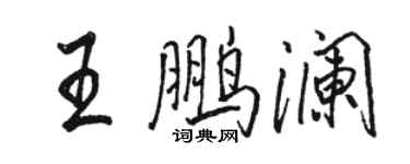 駱恆光王鵬瀾行書個性簽名怎么寫