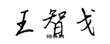 王正良王智戈行書個性簽名怎么寫