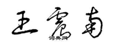 曾慶福王震南草書個性簽名怎么寫