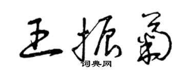 曾慶福王振菊草書個性簽名怎么寫