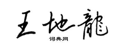 王正良王地龍行書個性簽名怎么寫