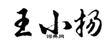 胡問遂王小揚行書個性簽名怎么寫