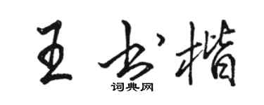 駱恆光王書楷行書個性簽名怎么寫