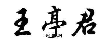 胡問遂王亭君行書個性簽名怎么寫