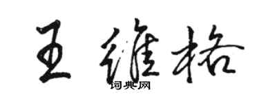 駱恆光王維格行書個性簽名怎么寫