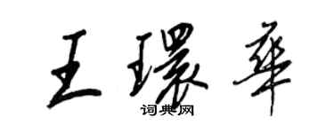 王正良王環華行書個性簽名怎么寫