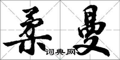 胡問遂柔曼行書怎么寫