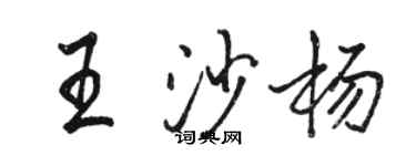 駱恆光王沙楊行書個性簽名怎么寫
