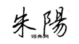 王正良朱陽行書個性簽名怎么寫