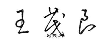 駱恆光王茂良草書個性簽名怎么寫