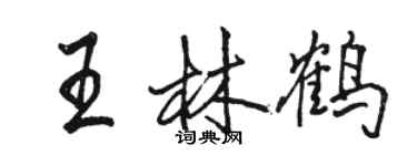 駱恆光王林鶴行書個性簽名怎么寫