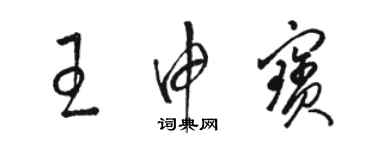 駱恆光王申寶草書個性簽名怎么寫