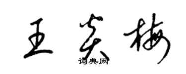 梁錦英王炎梅草書個性簽名怎么寫