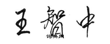 駱恆光王智中行書個性簽名怎么寫