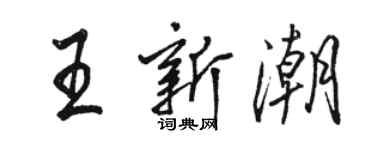 駱恆光王新潮行書個性簽名怎么寫