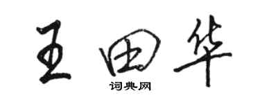 駱恆光王田華行書個性簽名怎么寫