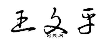 曾慶福王文平草書個性簽名怎么寫