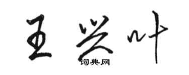 駱恆光王興葉行書個性簽名怎么寫