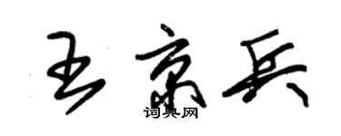 朱錫榮王京兵草書個性簽名怎么寫