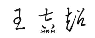 駱恆光王吉超草書個性簽名怎么寫