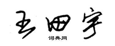 朱錫榮王田宇草書個性簽名怎么寫