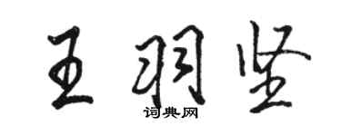 駱恆光王羽堅行書個性簽名怎么寫
