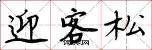 周炳元迎客松楷書怎么寫