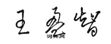 駱恆光王盈智草書個性簽名怎么寫