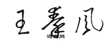 駱恆光王秦風草書個性簽名怎么寫