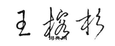 駱恆光王榕杉草書個性簽名怎么寫