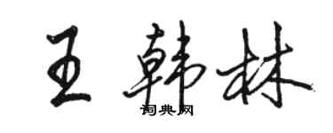 駱恆光王韓林行書個性簽名怎么寫