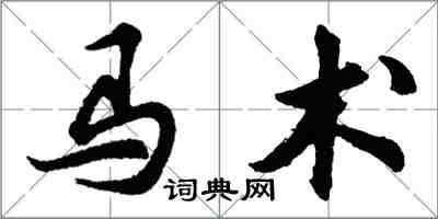 胡問遂馬術行書怎么寫