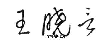 駱恆光王曉言草書個性簽名怎么寫