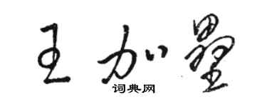 駱恆光王加壘草書個性簽名怎么寫