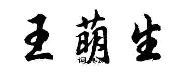 胡問遂王萌生行書個性簽名怎么寫