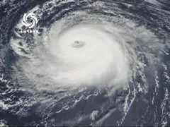 描寫颱風的作文 颱風作文專題