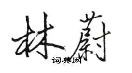 駱恆光林蔚行書個性簽名怎么寫