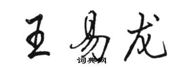 駱恆光王易龍行書個性簽名怎么寫