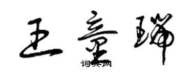 曾慶福王童瑞草書個性簽名怎么寫