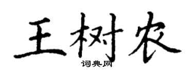 丁謙王樹農楷書個性簽名怎么寫