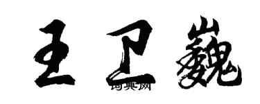 胡問遂王衛巍行書個性簽名怎么寫