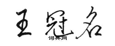 駱恆光王冠名行書個性簽名怎么寫