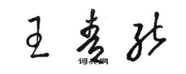 駱恆光王青能草書個性簽名怎么寫