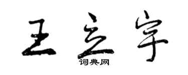 曾慶福王立宇行書個性簽名怎么寫