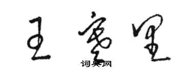 駱恆光王寒里草書個性簽名怎么寫