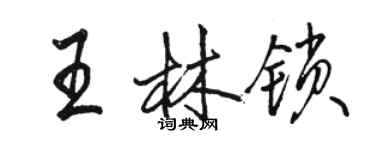 駱恆光王林鎖行書個性簽名怎么寫
