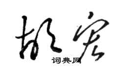 駱恆光胡宏草書個性簽名怎么寫
