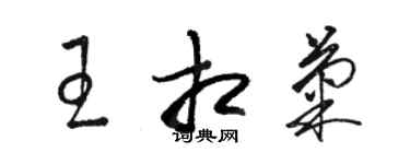 駱恆光王相菊草書個性簽名怎么寫