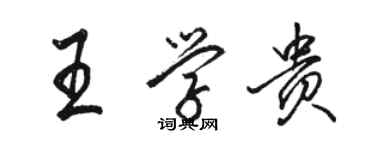 駱恆光王學貴行書個性簽名怎么寫