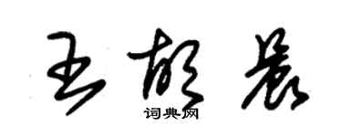 朱錫榮王胡晨草書個性簽名怎么寫